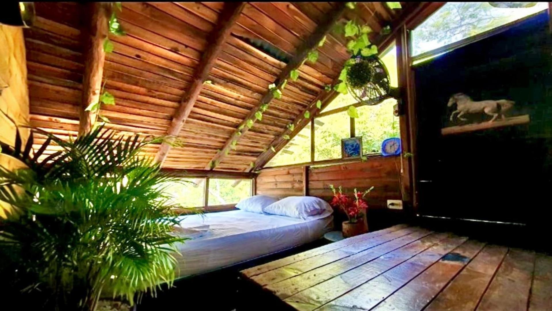 Tamarindo Beach Hostel ตากังกา ภายนอก รูปภาพ