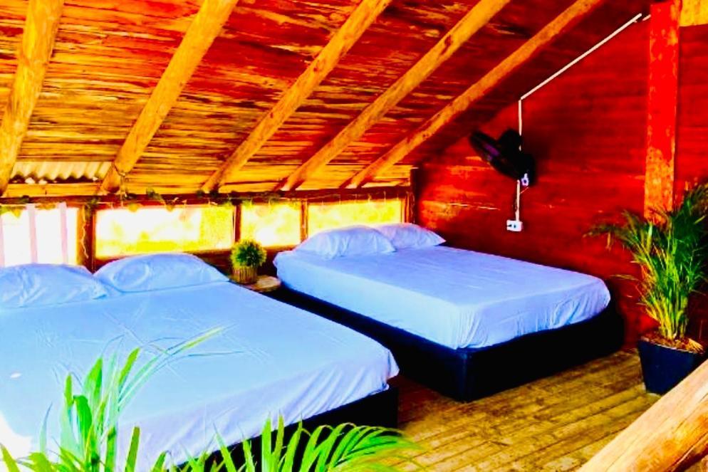 Tamarindo Beach Hostel ตากังกา ภายนอก รูปภาพ